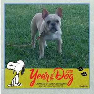 Meet your Posher, Sammy